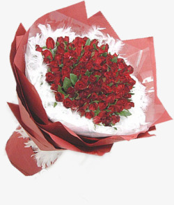 红色浪漫玫瑰花素材