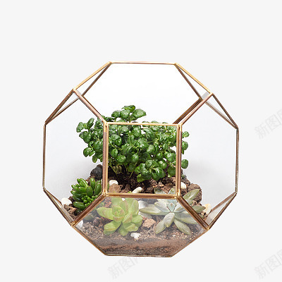 立体植物花盆png免抠素材_88icon https://88icon.com 植物 立体 花盆