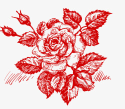 素描红色玫瑰素材