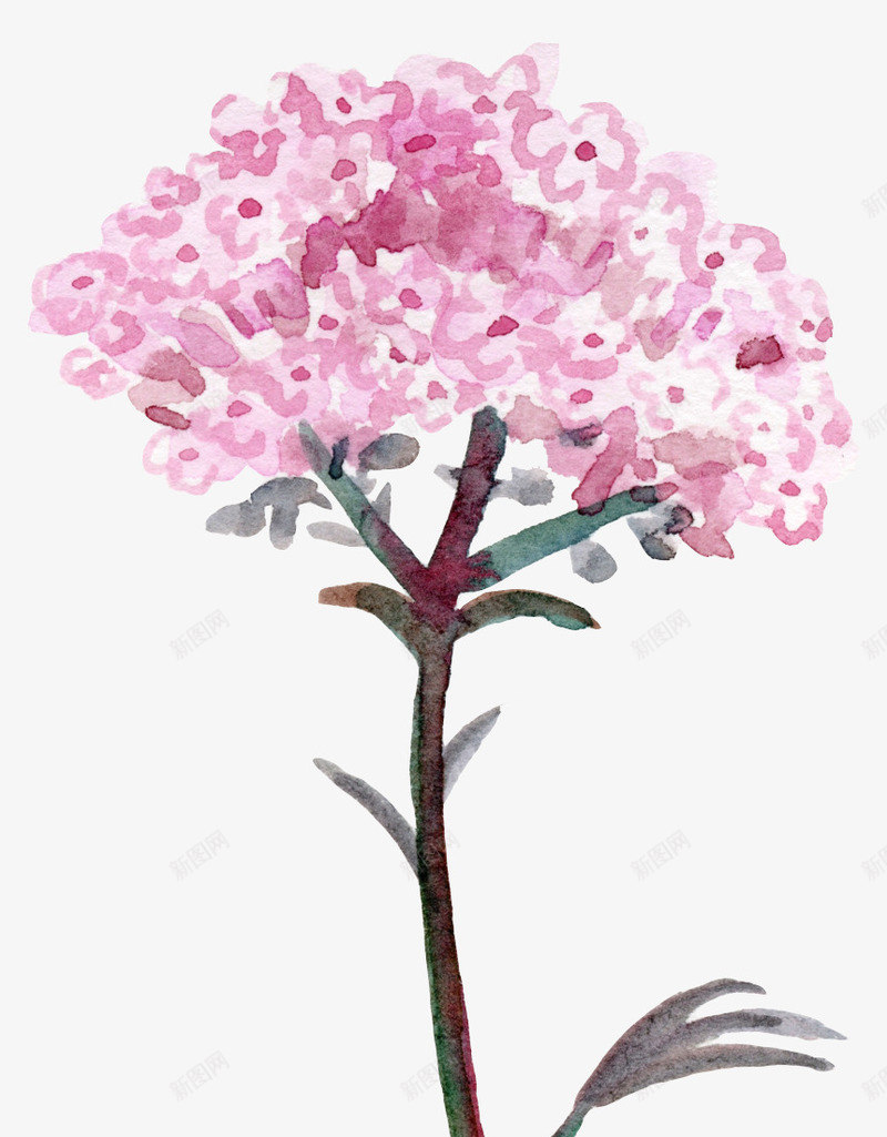 紫色花束水彩优雅风png免抠素材_88icon https://88icon.com 水彩 花 花束