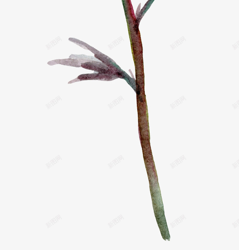 紫色花束水彩优雅风png免抠素材_88icon https://88icon.com 水彩 花 花束