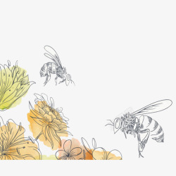 手绘花朵和蜜蜂素材