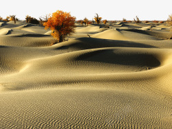 塔克塔克拉玛干沙漠高清图片