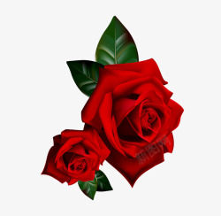 红色简约玫瑰装饰图案素材