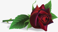 精美的情人节红玫瑰矢量图素材
