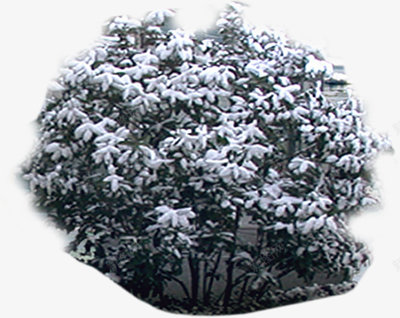 冬季风光美景雪景png免抠素材_88icon https://88icon.com 冬季 美景 雪景 风光