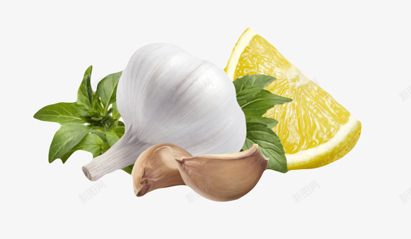 白色健康佐料大蒜头和蔬菜实物png免抠素材_88icon https://88icon.com 佐料 免扣 免费下载 大蒜头 有机 生态 生物世界 蔬菜