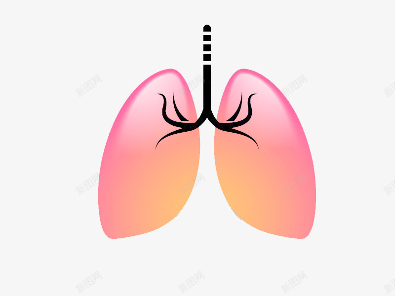 禁烟日公益广告肺部与香烟png免抠素材_88icon https://88icon.com nosmoking 健康 公益广告 禁止吸烟 禁烟日 肺部 香烟