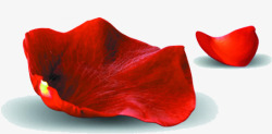 红色鲜花玫瑰花瓣素材