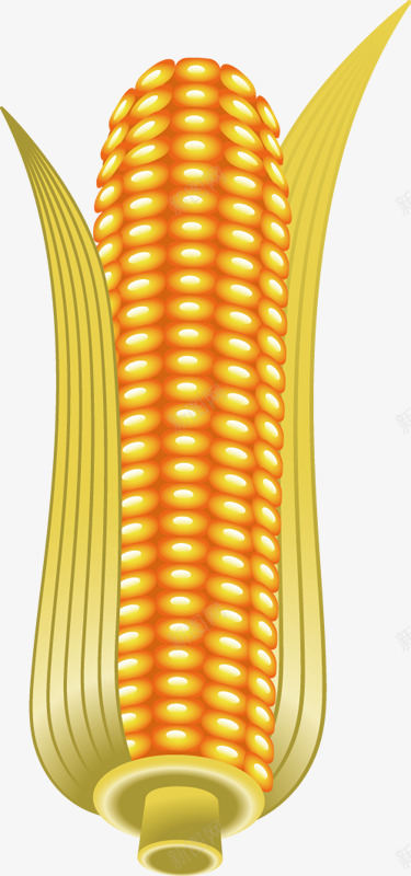 金黄玉米图案png免抠素材_88icon https://88icon.com 玉米 玉米图案 金黄玉米 金黄玉米图案