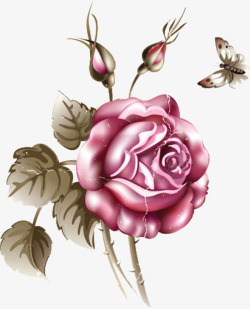 红色花纹玫瑰装饰素材