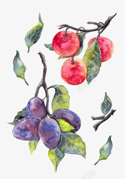 水彩手绘水果系列素材
