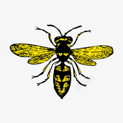 蜜蜂黄黄黑色蜜蜂矢量图高清图片