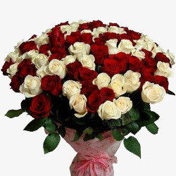 红色白色玫瑰花束素材