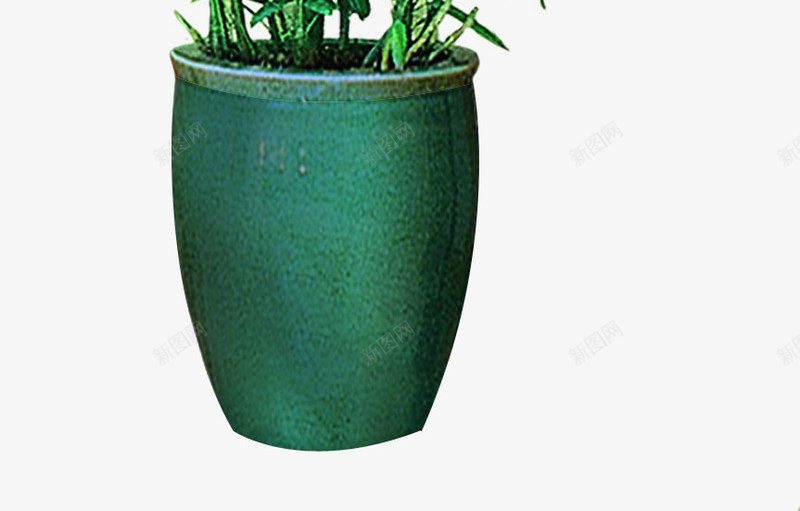 绿色清新植物摆件png免抠素材_88icon https://88icon.com 摆件 植物 清新 绿色