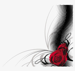 黑纹红玫瑰黑纹图案高清图片