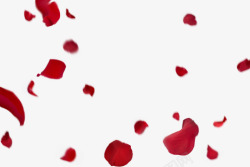 红色玫瑰花瓣海报素材