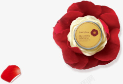 红玫瑰白玫瑰花瓣素材