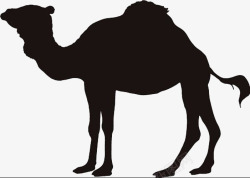 动物剪影骆驼素材
