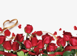 214情人节浪漫红玫瑰背景素材