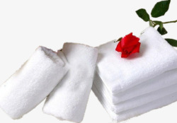 一只玫瑰放在毛巾上素材