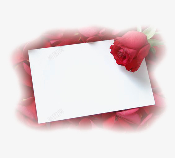 信纸元素png免抠素材_88icon https://88icon.com 信箱 写信 玫瑰插画 玫瑰素材 白色信纸 红玫瑰