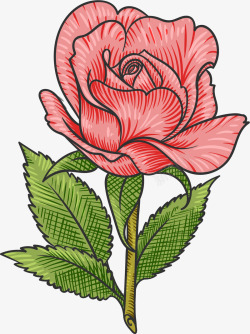 手绘带刺的玫瑰矢量图素材