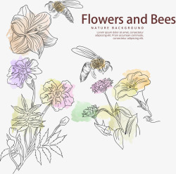 手绘蜜蜂和水彩花卉矢量图素材