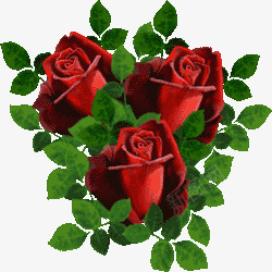 玫瑰花png免抠素材_88icon https://88icon.com 手绘鲜花 植物 红色玫瑰花 红色的花 花儿 鲜花