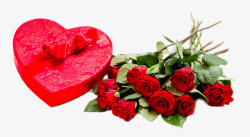 浪漫红色玫瑰花素材