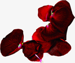 深红色玫瑰花瓣七夕情人节素材
