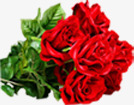 红色梦幻玫瑰花朵素材