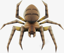 恐怖的褐色蜘蛛矢量图素材