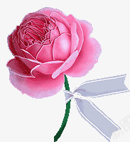 粉色花儿png免抠素材_88icon https://88icon.com 手绘鲜花 植物 红色玫瑰花 红色的花 花儿 鲜花
