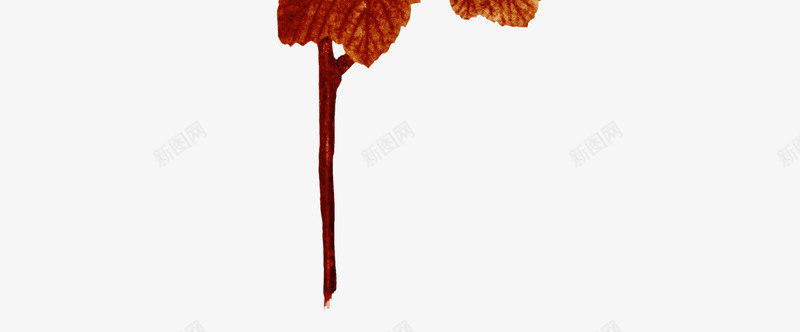 橙色枝叶png免抠素材_88icon https://88icon.com 叶子 枝叶 树叶 树枝