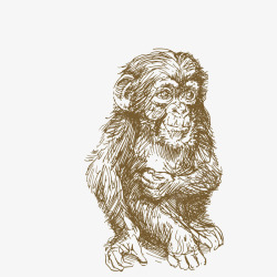 铅绘手绘坐着的猴子素材