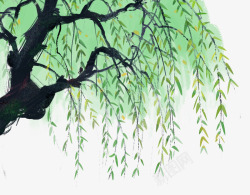 柳树水墨水彩装饰插画柳树素材