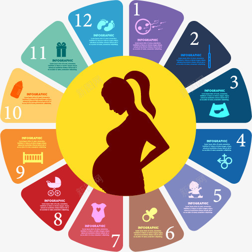 怀孕时间轴png免抠素材_88icon https://88icon.com 孕期一览表 孕期时间轴 怀孕 时间轴