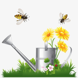 水壶花蜜蜂素材
