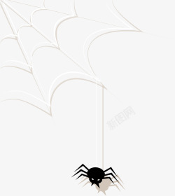 黑色卡通蜘蛛网素材