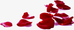 创意摄影红色玫瑰花飘落素材