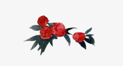 水彩红色玫瑰花素材