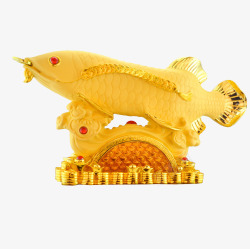 金漆金龙鱼素材