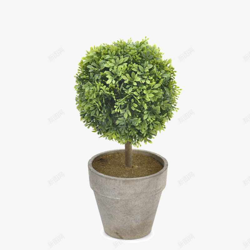 一盆绿植png免抠素材_88icon https://88icon.com 卡通 叶子 手绘 灰色 简图 绿植 绿色 花盆 陶瓷