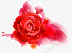 海报插画红色玫瑰花效果素材