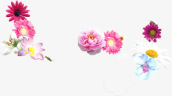 彩色节日花朵装饰母亲节素材