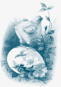 手绘复古素描花朵素材