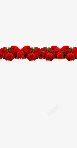 玫瑰红色浪漫情人节素材