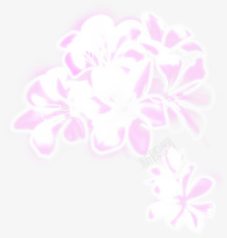 粉色朦胧花朵美景母亲节素材
