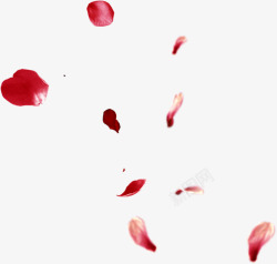 红色热情花瓣玫瑰花朵素材
